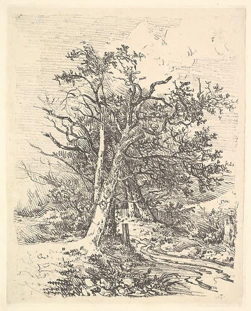 Tree Trunks and Lane, by John Crome