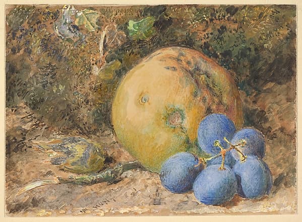 An apple, grapes and a hazelnut on a mossy bank, by William Henry Hunt