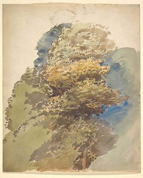 Study of a tree, by George Richmond