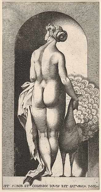 Plate 4: Juno standing in a niche, viewed from behind, stroking a peacock to her right, from "Mythological Gods and Goddesses", by Giovanni Jacopo Caraglio