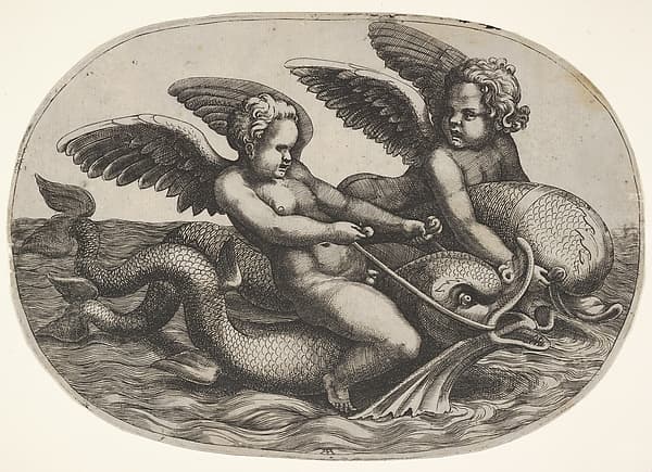 Two winged putti riding parallel on dolphins above the water surface, an oval composition, by Adamo (Ghisi) Scultori
