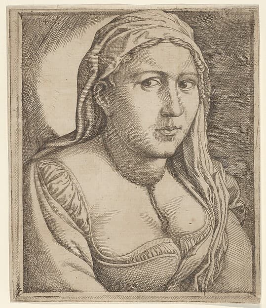 Woman with a Veil, by Jan Cornelisz Vermeyen