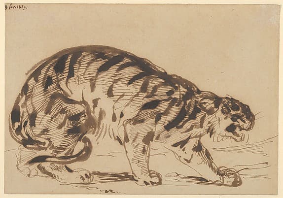 Crouching Tiger, by Eugène Delacroix