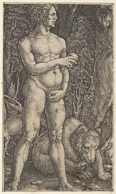 Adam with a Bear, by Heinrich Aldegrever