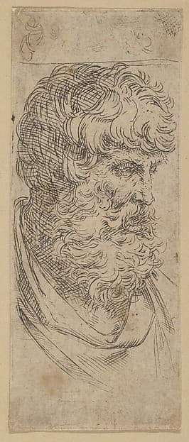 Bust of a Bearded Man, by Guido Reni
