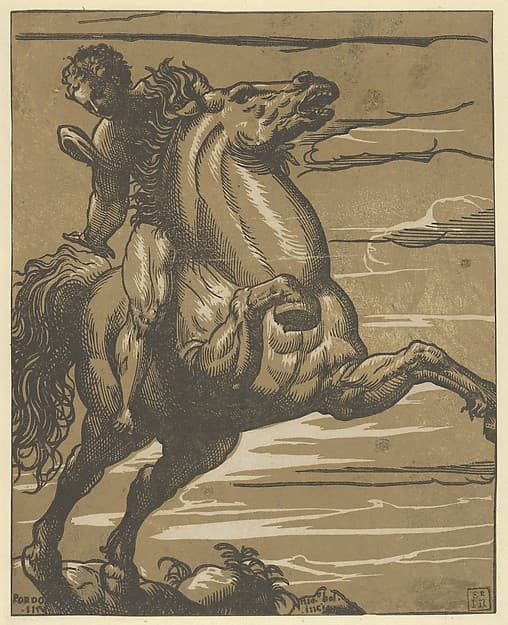 Leaping Horseman (Marcus Curtius), by Nicolò Boldrini