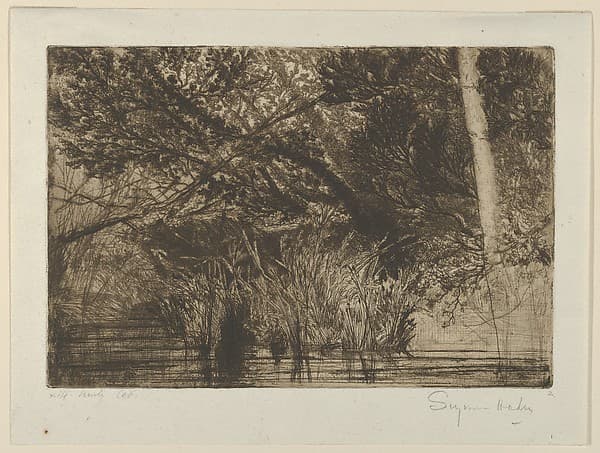 The Mouth of a Brook, No. 1, by Sir Francis Seymour Haden