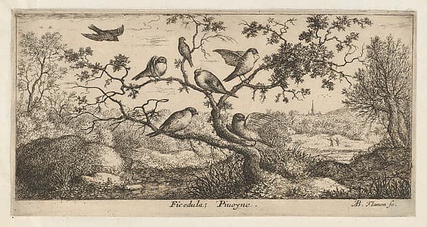 Ficedula, Piuoyne (The Bullfinch), from "Livre d'Oyseaux" (Book of Birds), by Albert Flamen