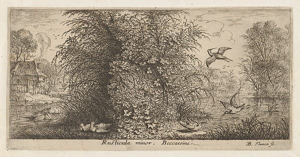 Rusticula minor, Beccassine (The Snipe), from "Livre d'Oyseaux" (Book of Birds), by Albert Flamen