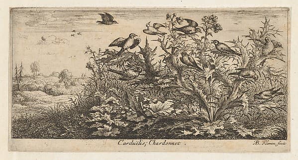 Carduëlis, Chardonnet (The Goldfinch), from "Livre d'Oyseaux" (Book of Birds), by Albert Flamen
