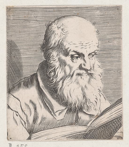 Bust of an Old Man, by Agostino Carracci