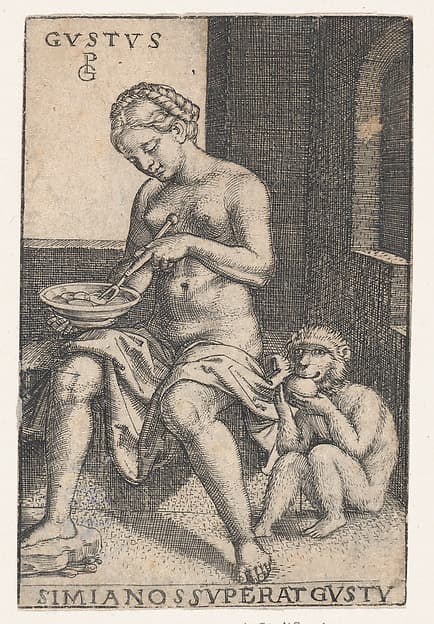 Taste (Gustus), from "The Five Senses", by Georg Pencz