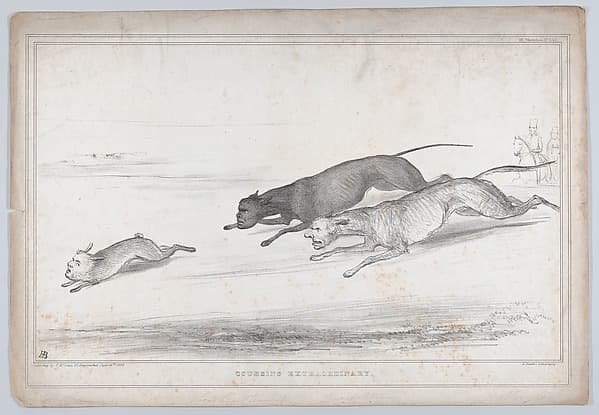 Coursing Extraordinary, by John Doyle