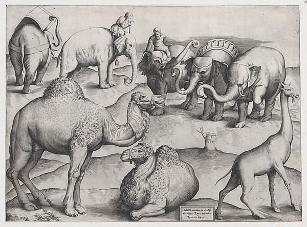 Wild Animals, from antique wall paintings, plate 3, from "Speculum Romanae Magnificentiae", by Anonymous, Italian, mid-16th century