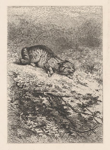 Wild Cat, from "Eaux-Fortes Animaux & Paysages", by Karl Bodmer