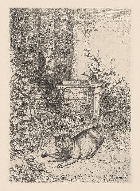 A Domestic Cat Playing with a Garter Snake, from "Eaux-Fortes Animaux & Paysages", by Karl Bodmer