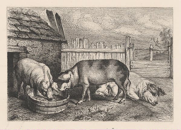 Three Pigs Near a Fence, by Karl Bodmer