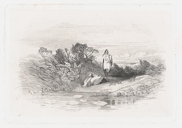 Two Herons, by Karl Bodmer
