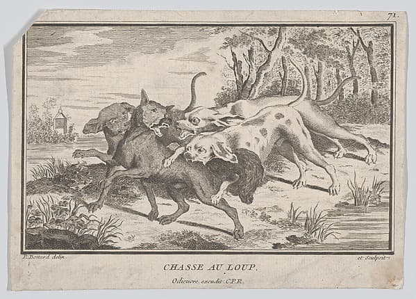 Wolf Hunt, by Louis Pierre Boitard
