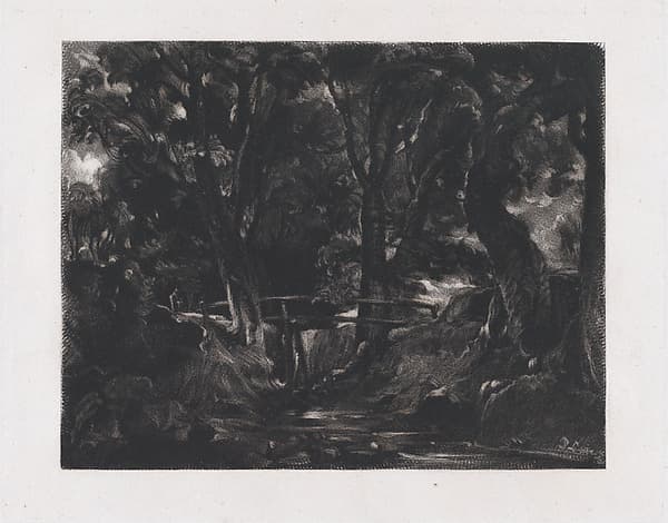 A Dell, Helmingham Park, Suffolk, by David Lucas
