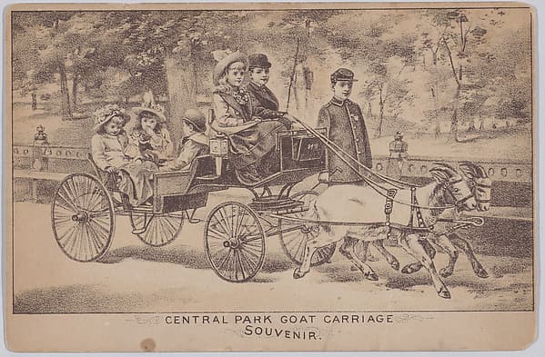 Central Park Goat Carriage (Souvenir Postcard), by Anonymous, American, 19th century