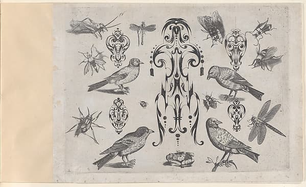 Blackwork Designs with Birds and Insects, Plate 2 from a Series of Blackwork Ornaments combined with figures, birds, animals and flowers, by Meinert Gelijs