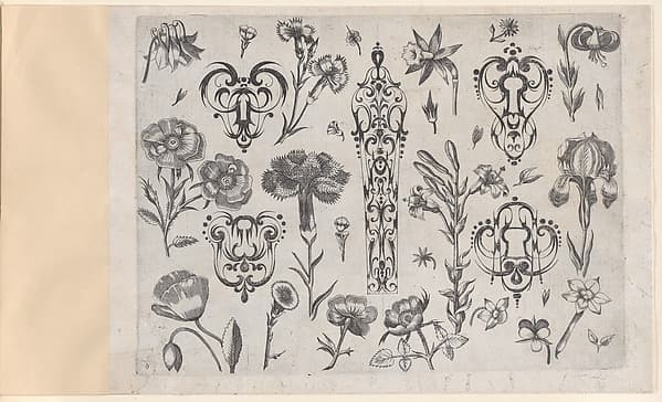 Blackwork Designs with Flowers, Plate 6 from a Series of Blackwork Ornaments combined with Figures, Birds, Animals and Flowers, by Meinert Gelijs