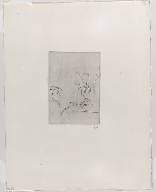 Duck and Reeds, by Berthe Morisot