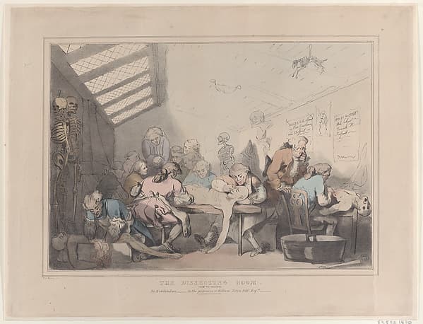 The Dissecting Room, by T. C. Wilson