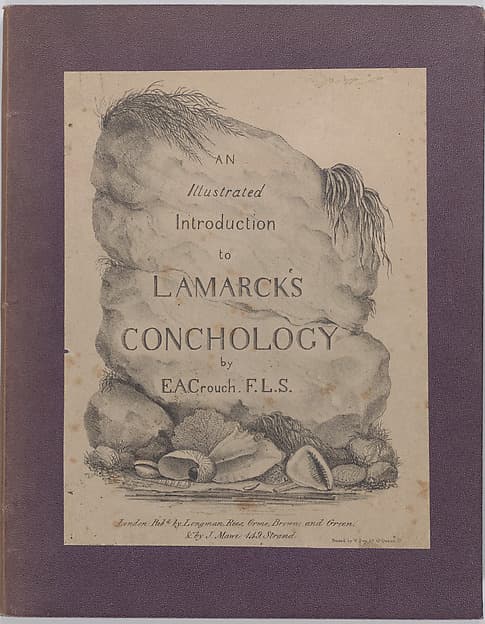 An Illustrated Introduction to Lamarck's Conchology; Contained in His Histoire Naturelle des Animaux Sans Vertèbres: Being a Literal Translation of the Descriptions of the Recent and Fossil Genera., by Edmund A. Crouch