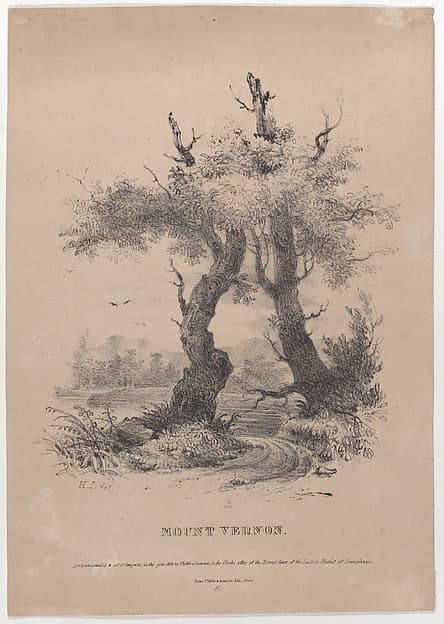 Mount Vernon with hidden silhouette of George Washington, by Henry Inman