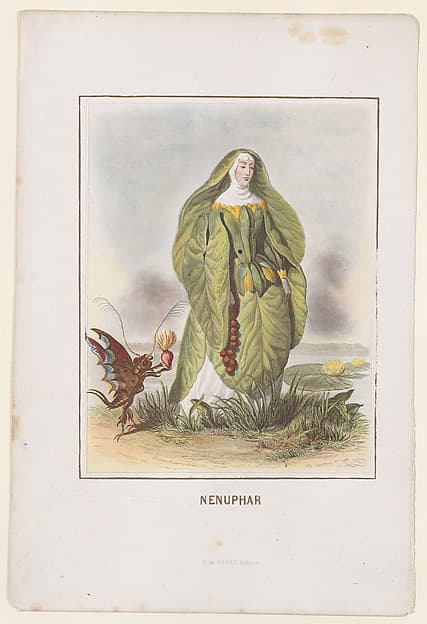 Nenuphar, from "Les Fleurs Animées", by J. J. Grandville