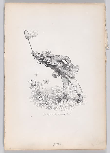 What do you say about the butterfly hunt?, from "Scenes from the Private and Public Life of Animals", by J. J. Grandville