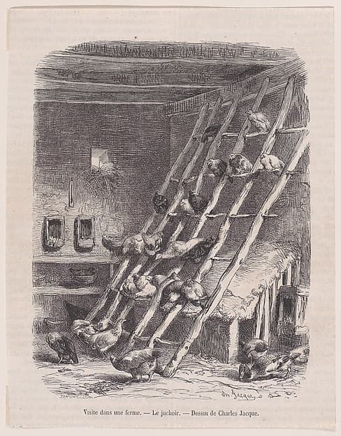 Visit to a Farm — The Roost, from "Le Magasin Pittoresque", by Charles Jacque