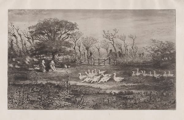 Geese, by Félix-Hilaire Buhot