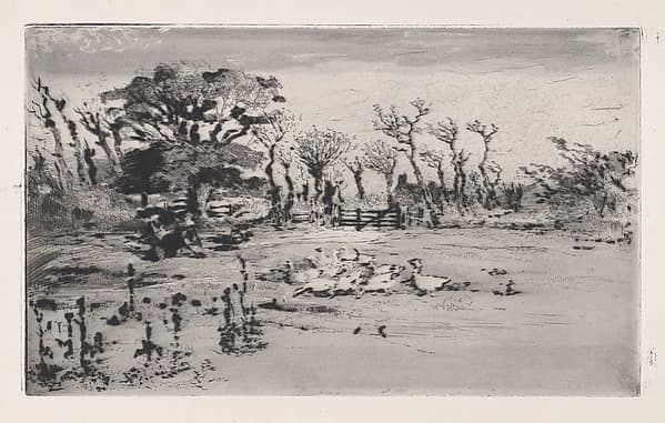 Geese, by Félix-Hilaire Buhot