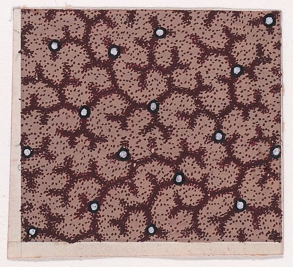 Textile Design with Scrolling Branches and Pearls, by Anonymous, Alsatian, 19th century