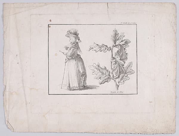 Profile of a woman and a study of an oak branch, by Gilles-Antoine Demarteau