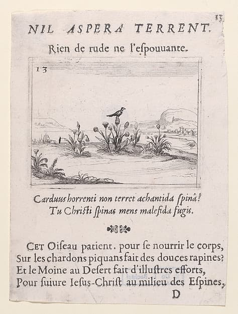 L'Oiseau Posé sur un Chardon en Fleurs (The Bird Standing on Thistle Flower), plate 13 from "Lux Claustri ou La Lumière du Cloitre" (The Light of the Cloisters), by Jacques Callot