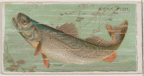 Weak Fish, from the series Fishers and Fish (N74) for Duke brand cigarettes, by Knapp & Company