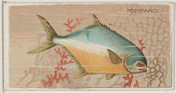 Pompano, from the series Fishers and Fish (N74) for Duke brand cigarettes, by Knapp & Company