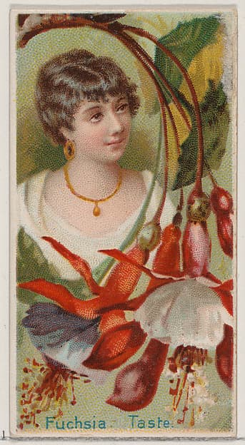 Fuchsia: Taste, from the series Floral Beauties and Language of Flowers (N75) for Duke brand cigarettes, by American Tobacco Company
