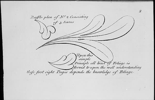 The Principles of Ornament, or the Youth's Guide to the Drawing of Foliage, by Matthias Lock