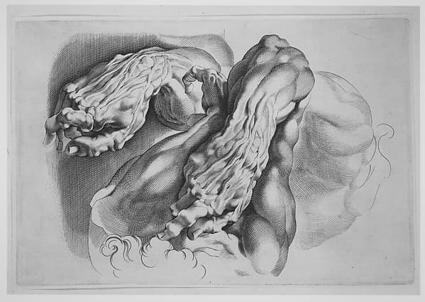 Three Studies of Écorchés, by Paulus Pontius