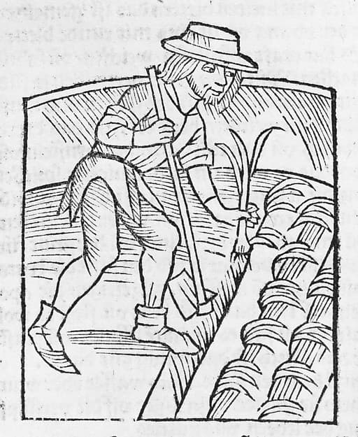 II) Der Ritter vom Turm, von den exenplen der Gotzfurcht und erberkeit., by Michael Furter