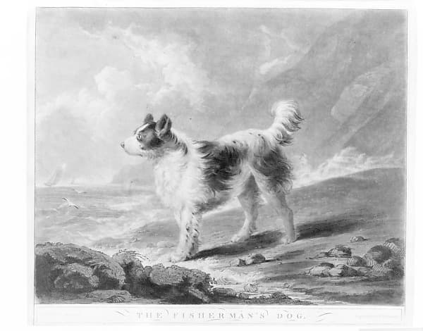 The Fisherman's Dog, by Samuel William Reynolds, the elder