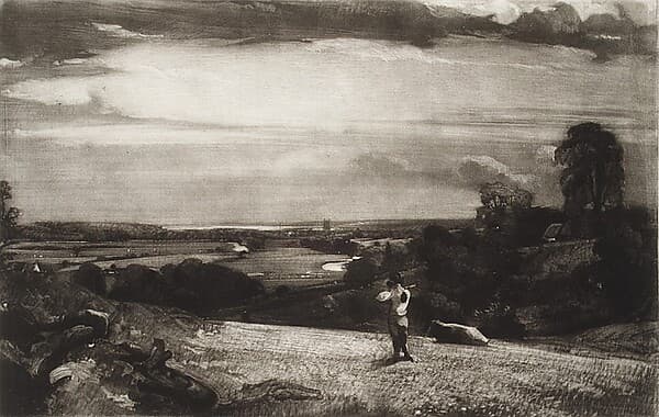 Summer Morning, by David Lucas