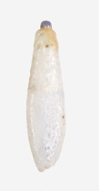 Lotus Petal Pendant