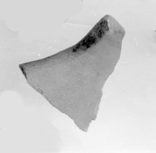 Fragment of the Top Surface of Siptah's Canopic Chest