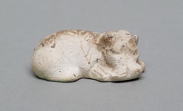 Hippopotamus